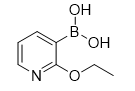 2-乙氧基吡啶-3-硼酸