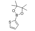 2-噻吩硼酸频呐醇酯