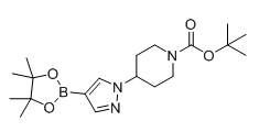 1-(1-叔丁氧羰基哌啶-4-基)吡唑-4-硼酸频呐醇酯