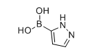 1H-吡唑-5-硼酸 或 1H-吡唑-3-硼酸